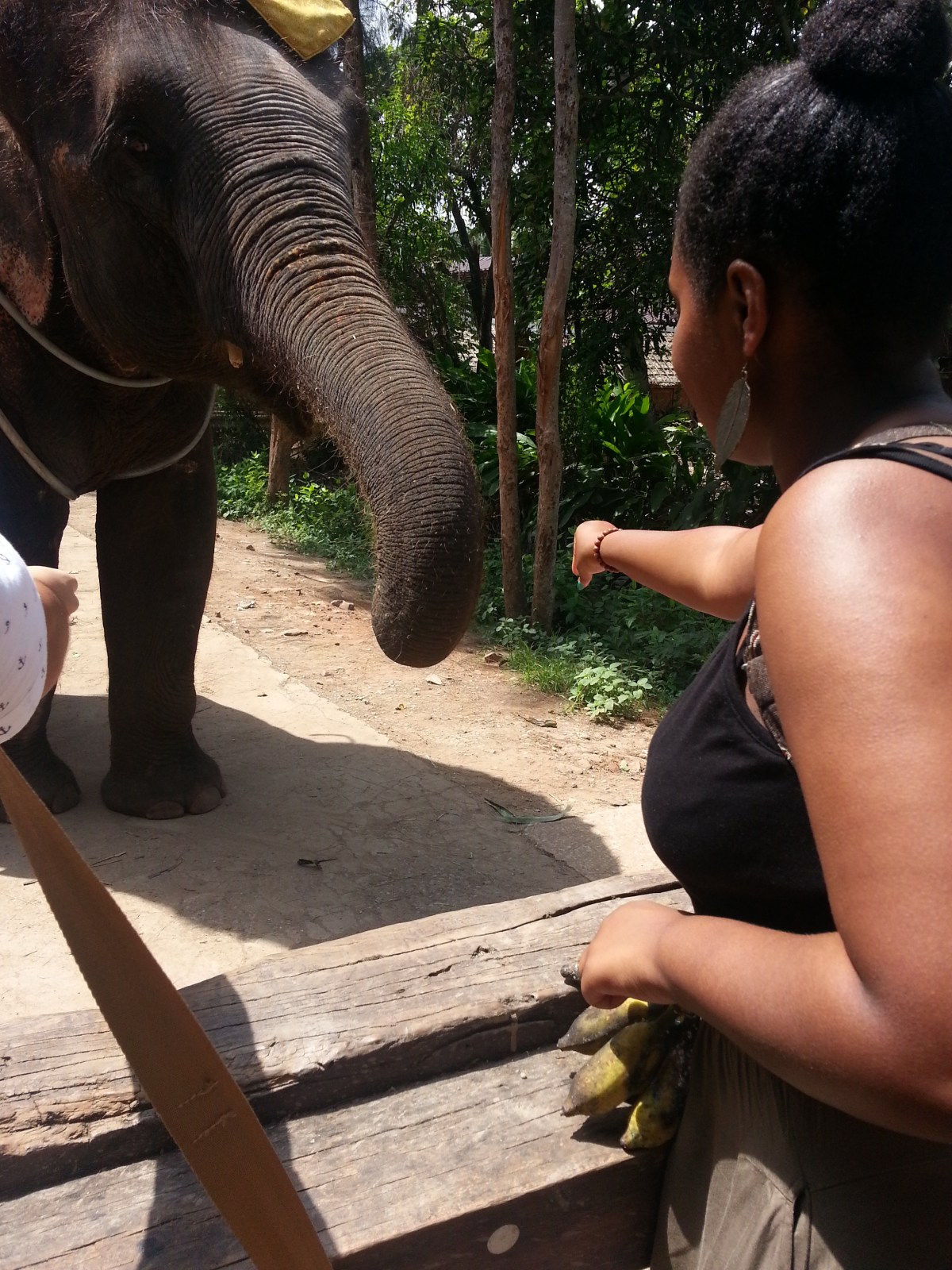 Teenager Abroad Segment: “Another&nbsp;Chapter”